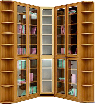 Современный угловой книжный шкаф